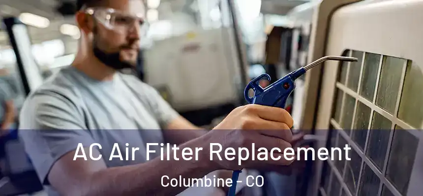  AC Air Filter Replacement Columbine - CO