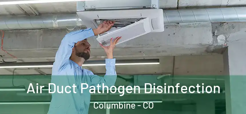  Air Duct Pathogen Disinfection Columbine - CO