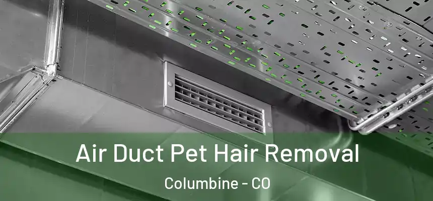  Air Duct Pet Hair Removal Columbine - CO