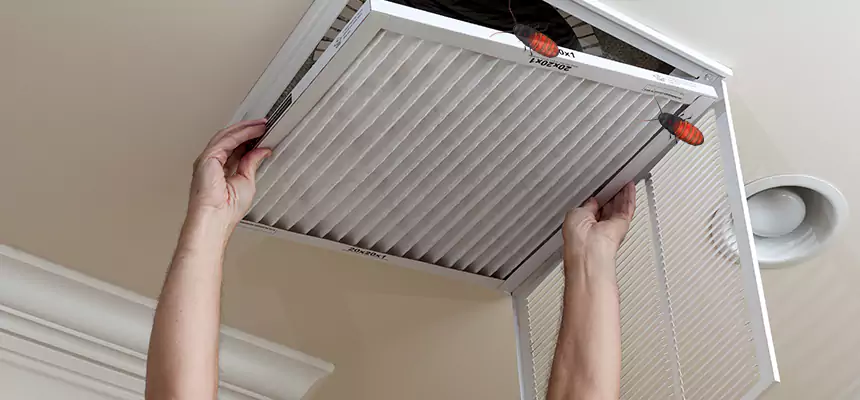 Preventive Cockroach-Proofing for Ducts in Columbine