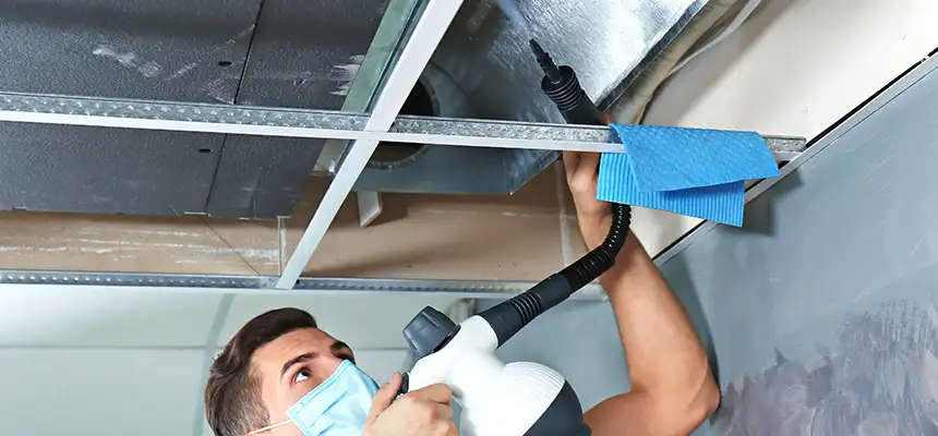 Our Air Duct Rodent Removal Services in Columbine, CO