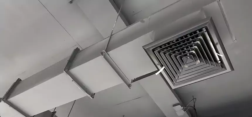 Our Rodent Droppings In Vents Services in Columbine, CO