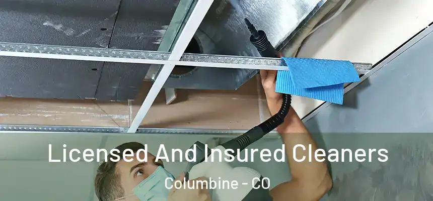  Licensed And Insured Cleaners Columbine - CO