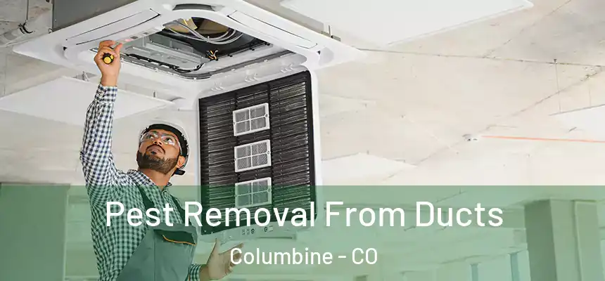 Pest Removal From Ducts Columbine - CO