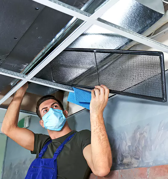 About Air Duct Bacteria Removal in Columbine