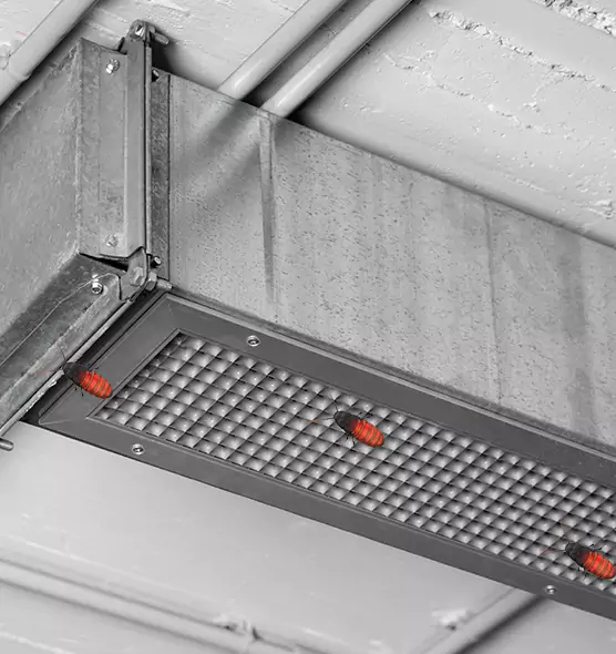 About Air Duct Cockroach Removal in Columbine, CO
