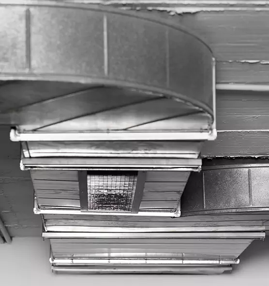 Professional Air Duct Pest Removal in Columbine, CO