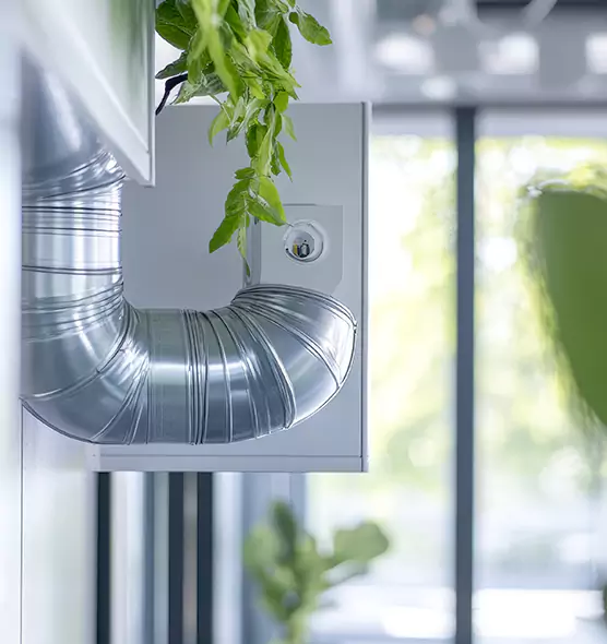 Professional Eco-Friendly Duct Cleaning Services in Columbine, CO