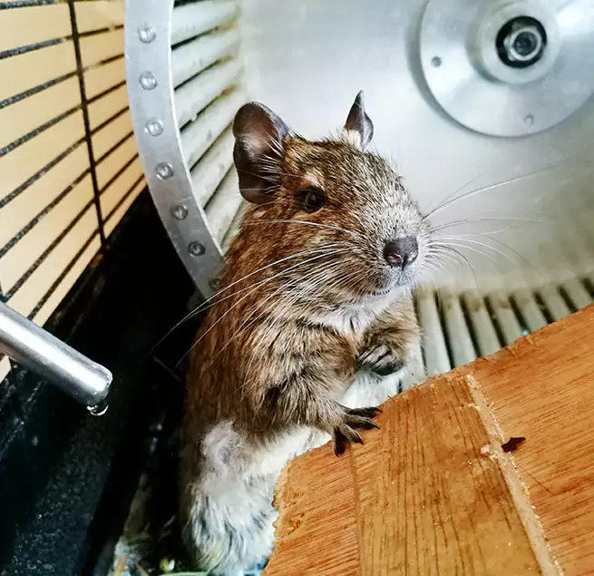 Why Homeowners & Businesses Trust Us Columbine, CO