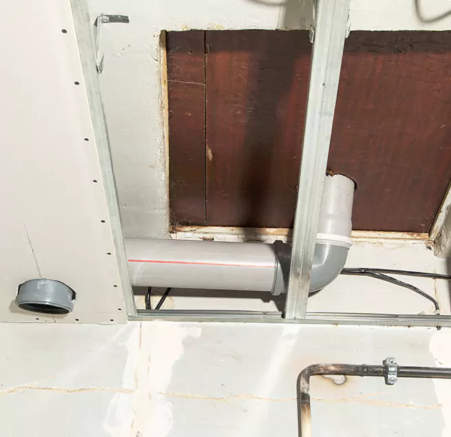 Why Homeowners & Businesses Trust Us in Columbine, CO?