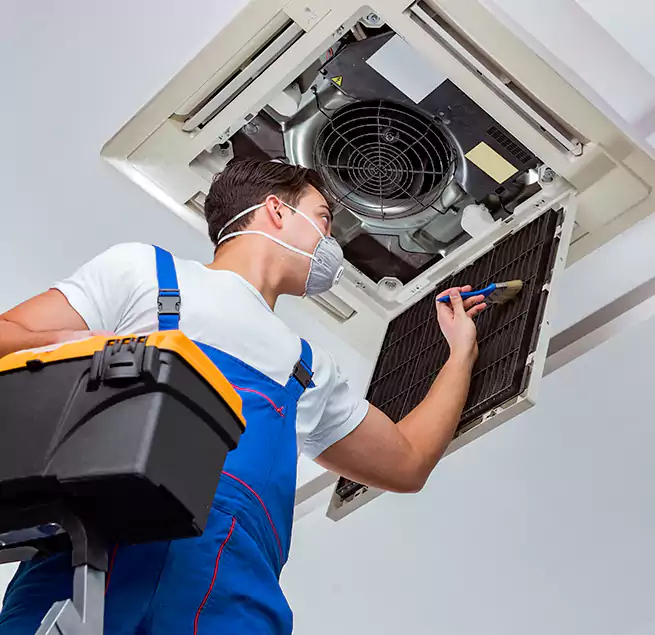 Why Homeowners & Businesses Trust Us in Columbine, CO