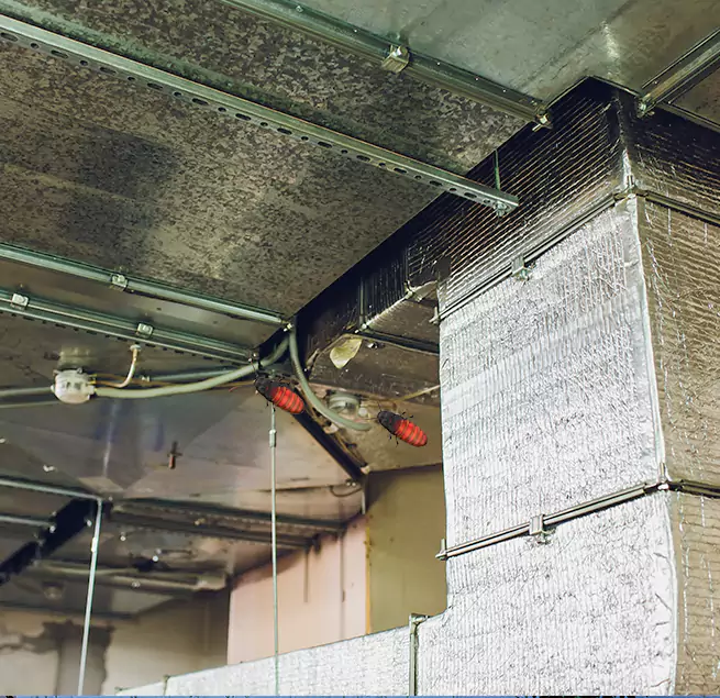 Why Homeowners & Businesses Trust Us Columbine, CO?